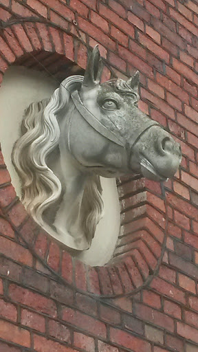 Horse on the Wall