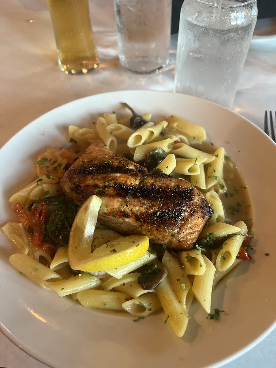 Terra mare with salmon and gluten free penne