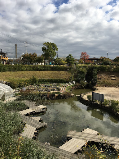 篠目公園　とんぼ池の八ツ橋