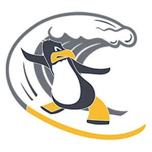 Download Surfing Penguin For PC Windows and Mac