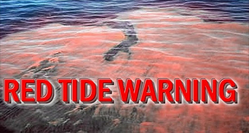 A red tide is spreading along the Nelson Mandela Bay coast‚ researchers have confirmed.
