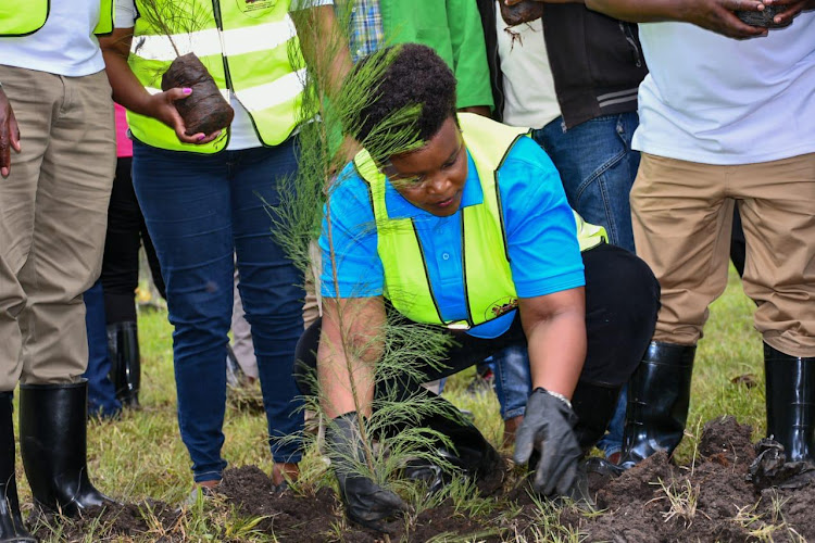 Immigration Director general Evelyn Cheluget plants a tree during the tree national planting exercise in Machakos on May 10, 2024.