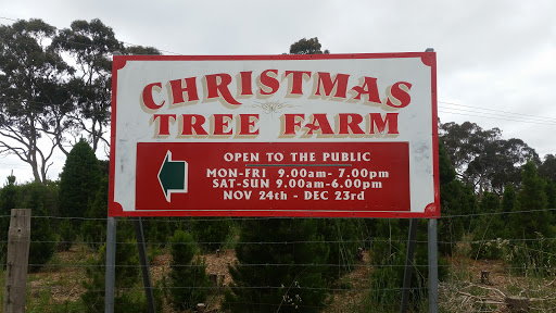 Christmas Tree Farm