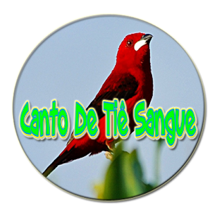 How to download Canto De Tiê Sangue 1.0 unlimited apk for bluestacks