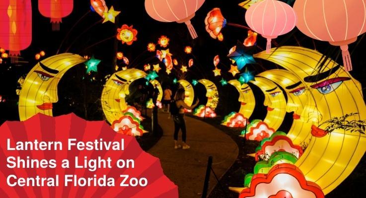Lantern Festival Shines a Light on Central Florida Zoo 