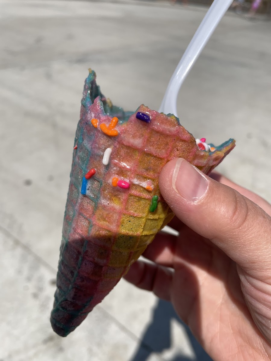 Vegan GF/DF rainbow sugar/waffle cone