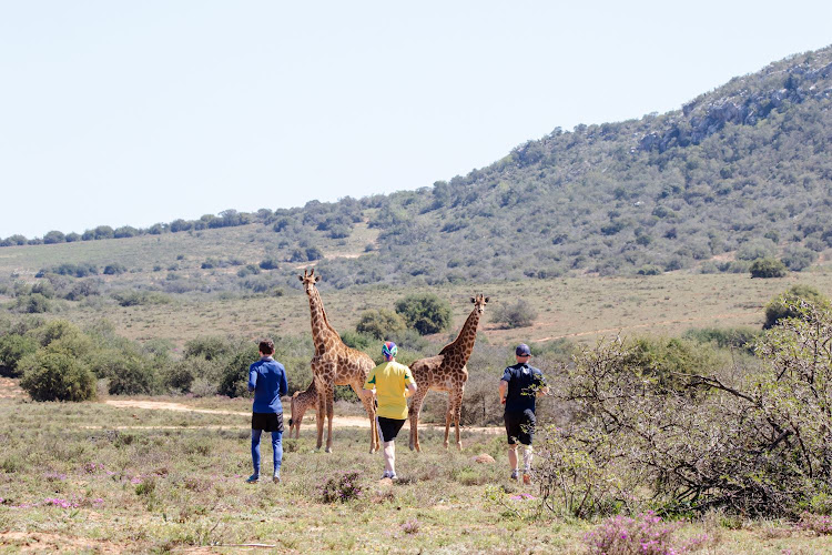 The Be Moved Marathon hosted in the Eastern Cape gives local and international runners the chance to run with the big five in the Amakhala Game Reserve.
