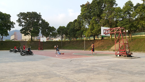 Basket Court