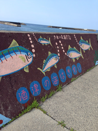 酒津の海はきれい