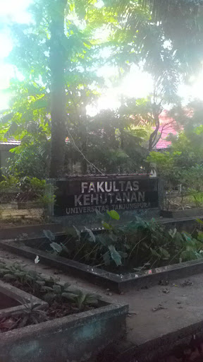 Fakultas Kehutanan Fountain