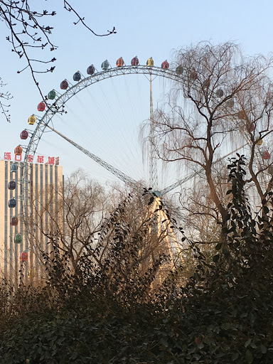 Sky Wheel in Jinan Zoo