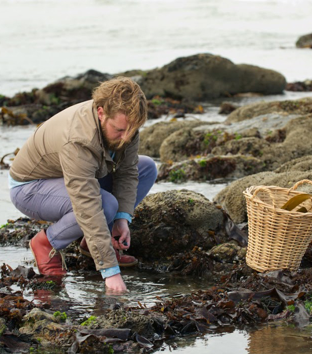 Kobus van der Merwe foraging on the West Coast.