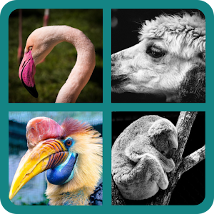Download Guess The Animal For PC Windows and Mac