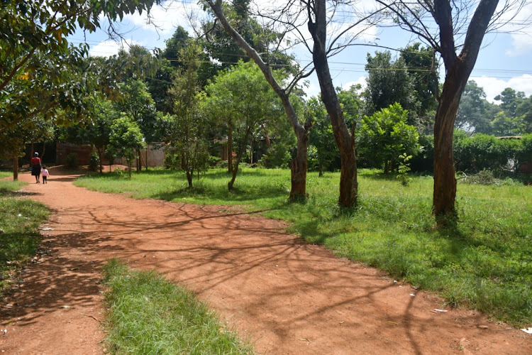 Mugumo grounds in Thika Kiambu county. It is a historical ground