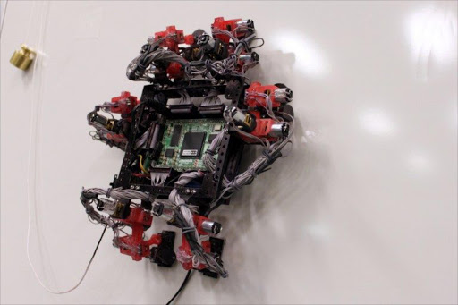 A handout photo released by the European Space Agency the six-legged Abigaille climbing robot, able to transition from vertical to horizontal surfaces.