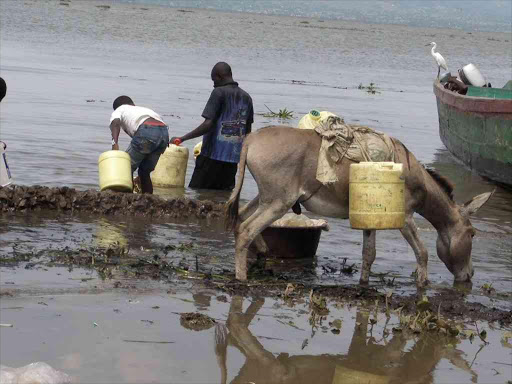 Water vendors tap raw water from lake Victoria in Homa bay for domestic use on January 28,2015.Photo/file
