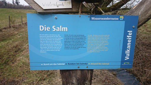 Infoschild Zum Wasserlauf DIE SALM