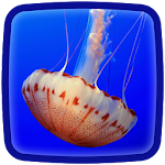 Jellyfish Live Wallpaper Apk