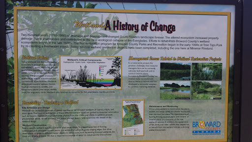 Wetlands a History of Change