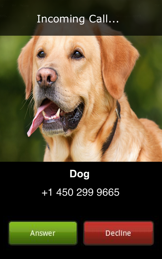 Dog Calling — приложение на Android