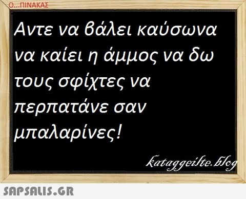 Ο ΠΙΝΑΚΑΣ. Αντε να βάλει καύσωνα να καιει η αμμος να τους σφιχτες να ερ ατανε σαν μπαλαρίνες!