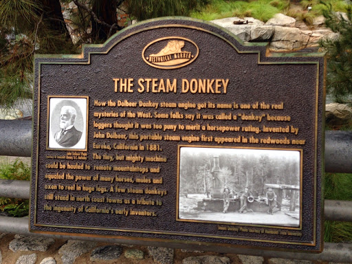 THE STEAM DONKEY How the Dolbeer Donkey steam engine got its name, is one of the real mysteries of the West. Some folks say it was called a "donkey" because loggers thought it was too puny to...