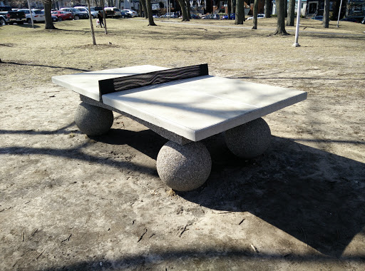 Concrete Ping Pong Table