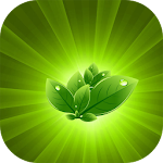 Ayurvedic Upchar Apk