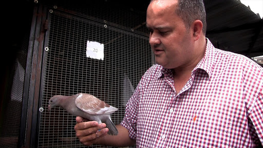 Mark Kitchenbrand with one of his racing pigeons.