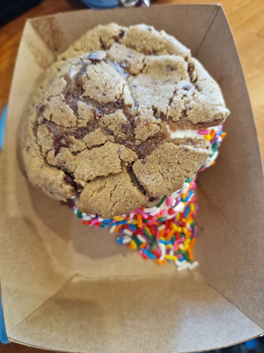 Gluten-free cookies with old fashioned vanilla ice cream and sprinkles