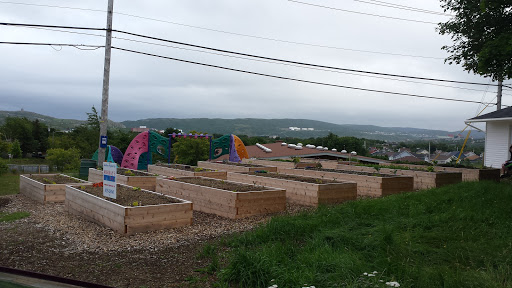 Vanier Community Garden