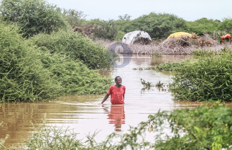 Ali Abdilahi Muhamad, a 50-year-old elder at Shimberey Village in Garissa County wades through water after being displaced by floods following heavy downpour in the area on April 26, 2024.