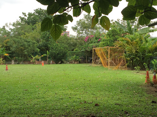 Mini Soccer Field