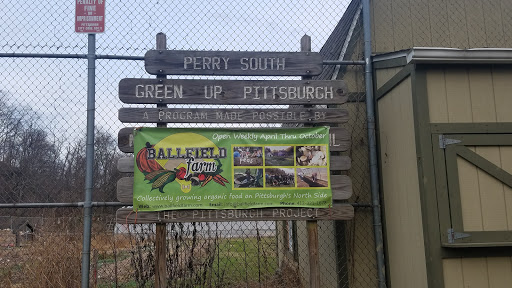 Perry South Green Up Pittsburgh Community Garden