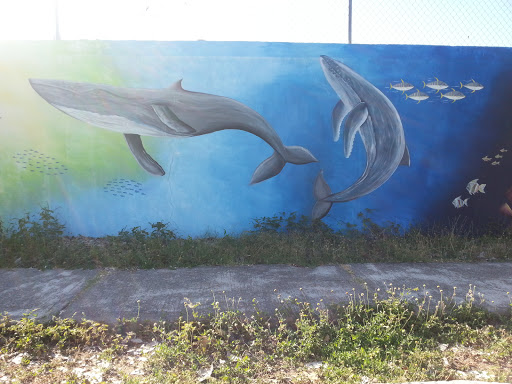 Mural Ballenas
