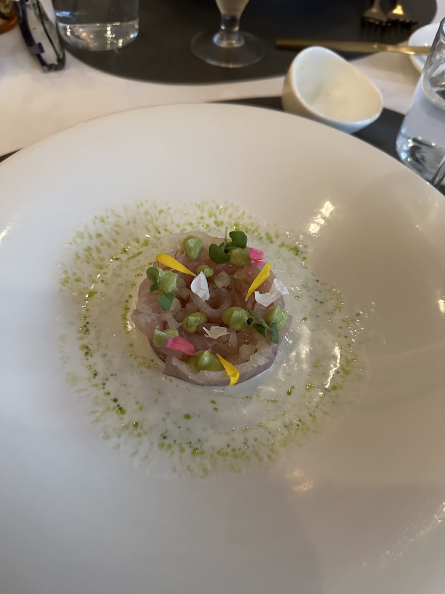 Amazing Yellowtail Crudo with a lime coconut sauce