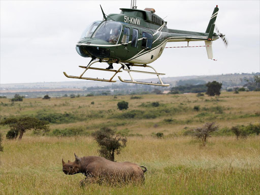 KWS personnel on board a helicopter to tranquilise a female black rhino before transportation on June 26