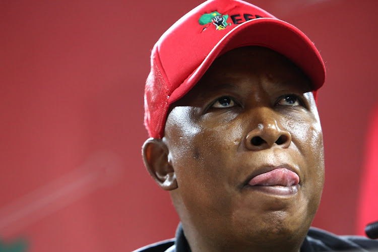 Julius Malema says voters must stay off the booze on voting day and remove the ANC from government. File photo.