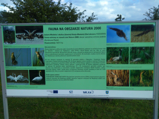Fauna Na Obszarze Natura 2000