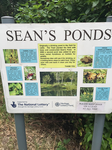 Sean's Ponds