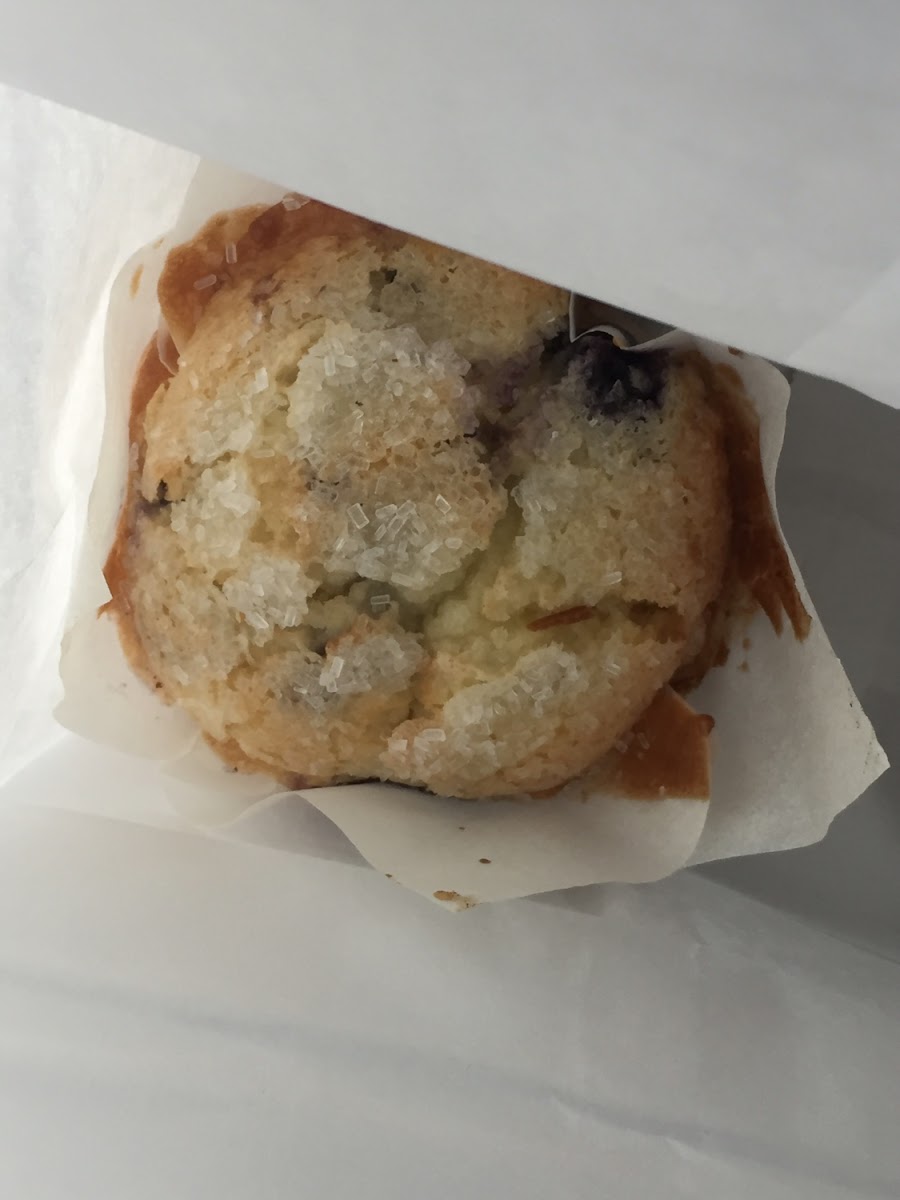 Blueberry muffin