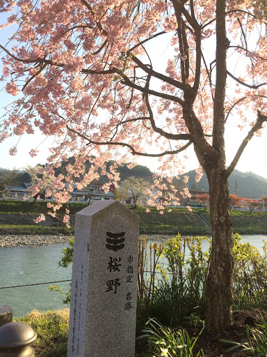 桜野公園