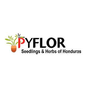 Download Pyflor For PC Windows and Mac