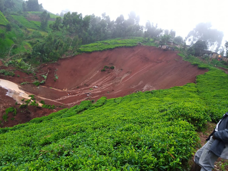 A landslide that destroyed about two acres of tea farm in Kagarii village, Gatanga subcounty