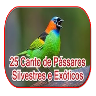 How to mod Canto de Pássaros Silvestres lastet apk for android