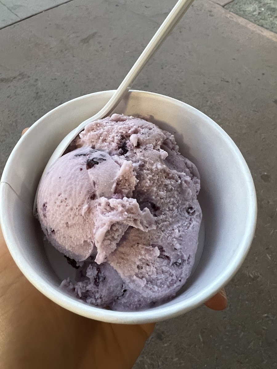 Huckleberry ice cream