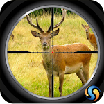 Sniper Deer Hunt 3D Apk