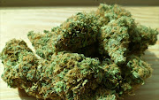 Cannabis also known as marijuana Picture: Stock image