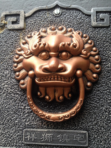 Copper Lion