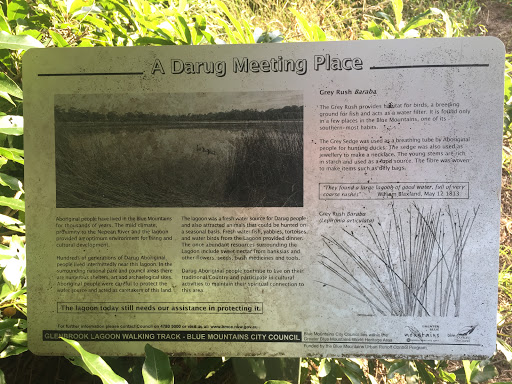 A Darug Meeting Place